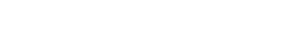Fondsvisie